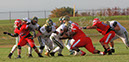 SVF_Psauk197