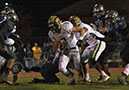 SVF_Tcreek096