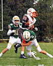 SJVF_CLand_002