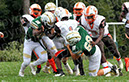 SJVF_CLand_010