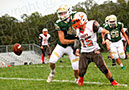 SJVF_CLand_013