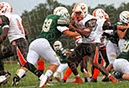 SJVF_CLand_028