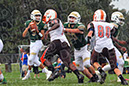 SJVF_CLand_030