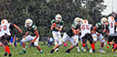 SJVF_CLand_043