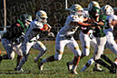 SJVF_Pem_012