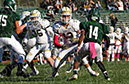 SJVF_Pem_018