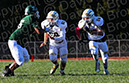 SJVF_Pem_026