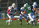 SJVF_Pem_043