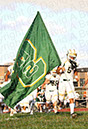 SVF_CLand_005