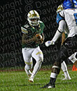 SVF_Ewing_169
