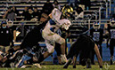 SVF_Oakcrest_138