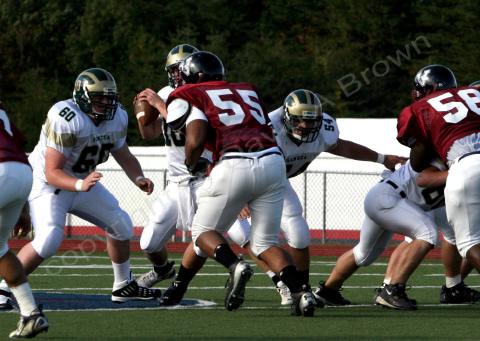 Eastern JV005