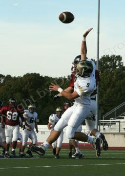 Eastern JV006