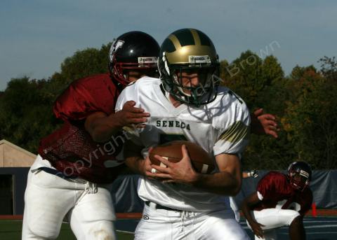 Eastern JV022