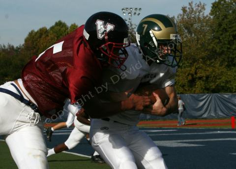 Eastern JV023