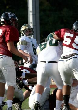 Eastern JV025