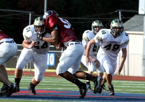 Eastern JV030
