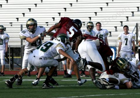 Eastern JV044