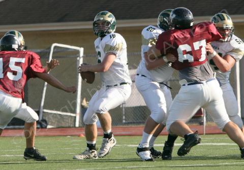 Eastern JV049