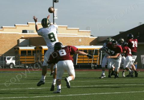 Eastern JV051