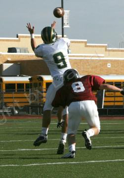 Eastern JV052