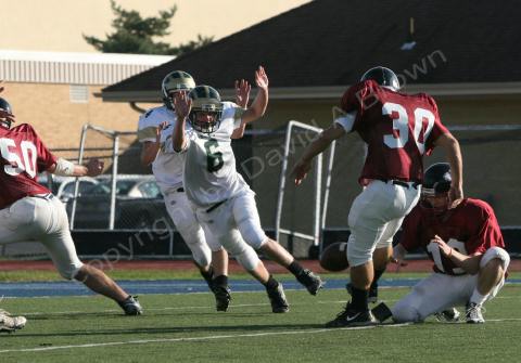 Eastern JV058