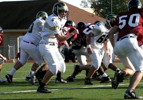 Eastern JV067