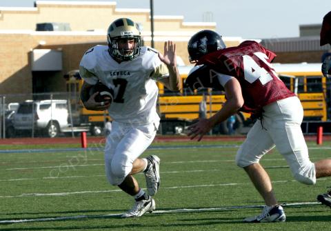 Eastern JV068
