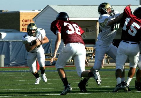 Eastern JV069