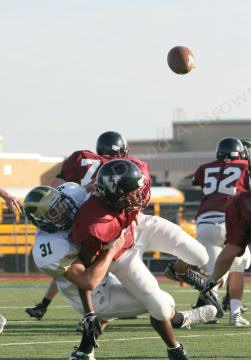 Eastern JV072
