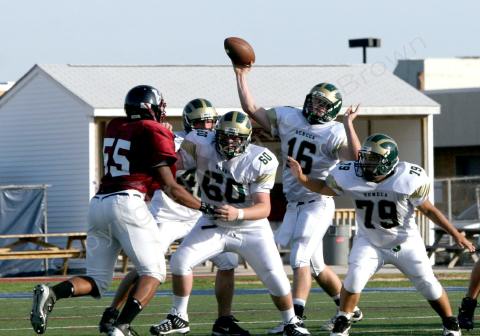 Eastern JV076