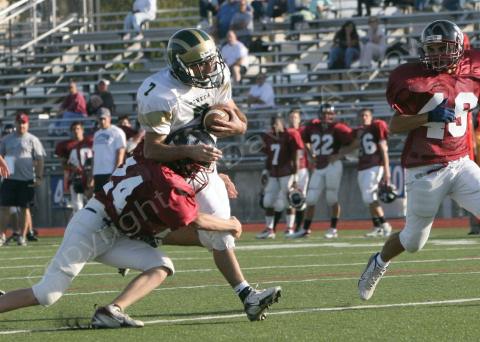 Eastern JV084