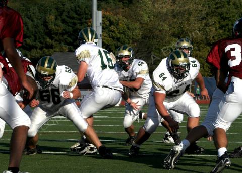 Eastern JV086