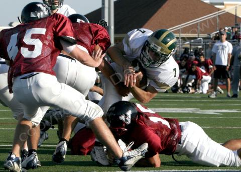 Eastern JV089