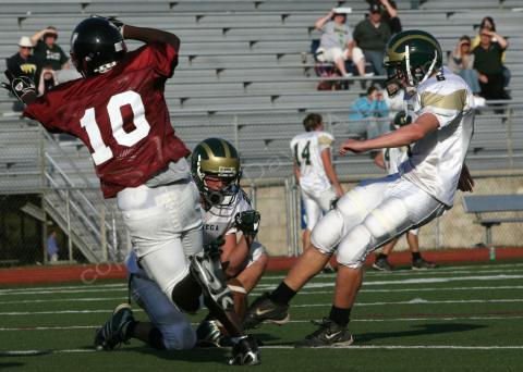 Eastern JV092