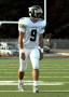 Eastern JV004