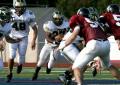Eastern JV008