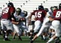 Eastern JV009