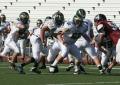 Eastern JV010