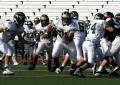 Eastern JV011