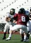 Eastern JV012
