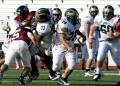 Eastern JV013