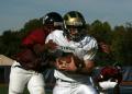 Eastern JV022