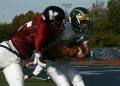 Eastern JV023