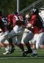 Eastern JV029