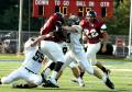 Eastern JV033
