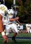 Eastern JV034