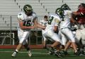 Eastern JV035