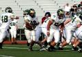 Eastern JV036
