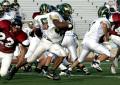 Eastern JV037